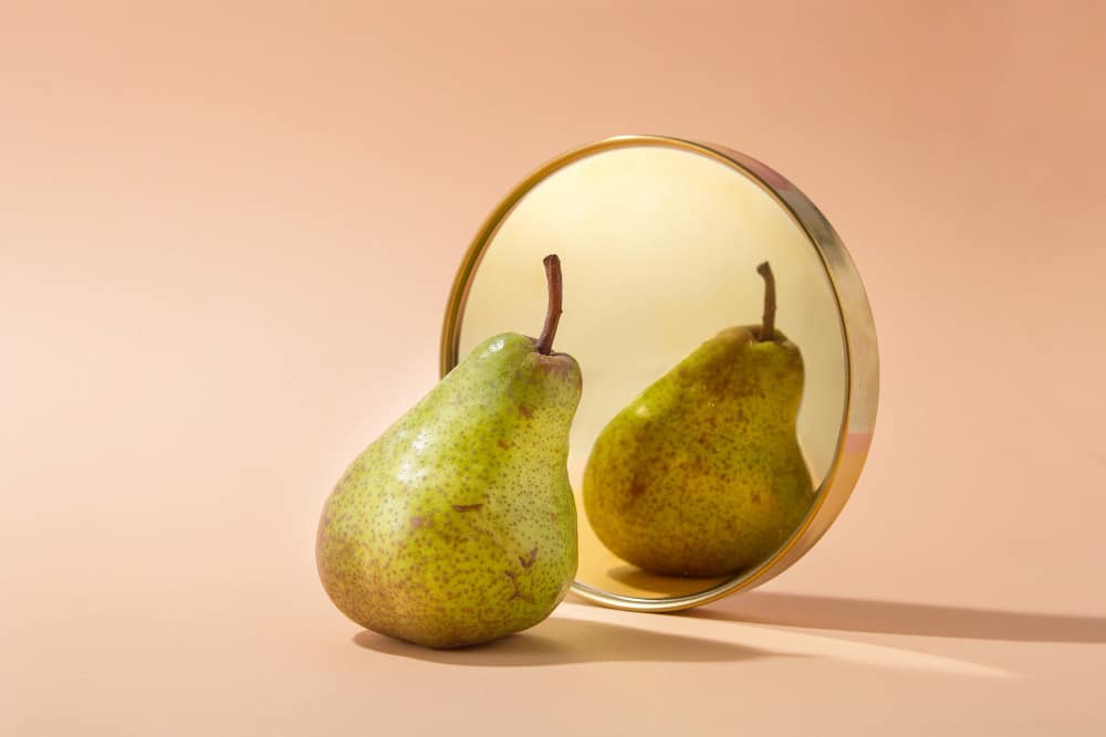 Home 7 Comparatif solution minceur